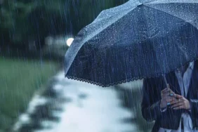 64ff3dc1a4686011102edf94