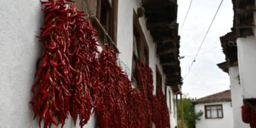 aa_picture_20251011_39375868