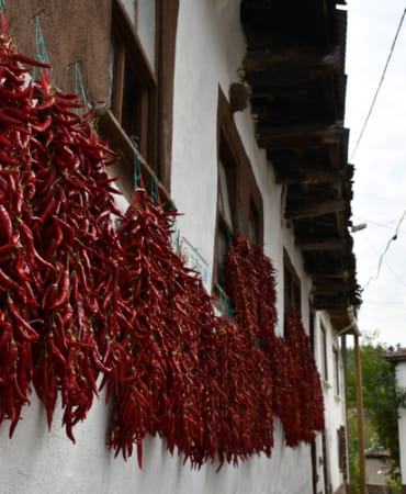 aa_picture_20251011_39375868