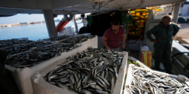 aa_picture_20251019_39455856