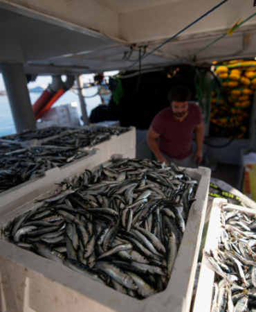 aa_picture_20251019_39455856