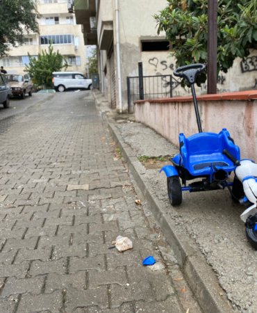 aa_picture_20251023_39500749 (1)