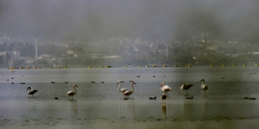 aa_picture_20251027_39531767