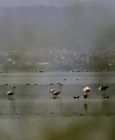 aa_picture_20251027_39531767