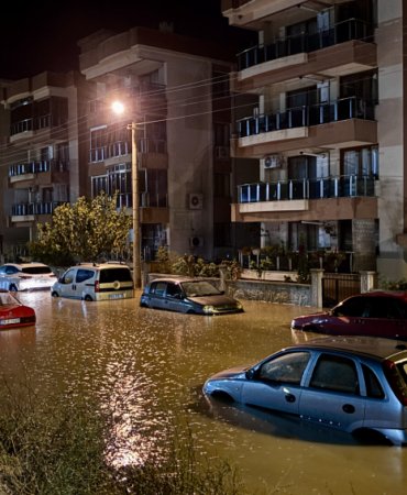 aa_picture_20251028_39539781