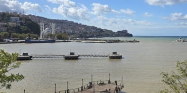 deniz-kahverengi-a-2406909