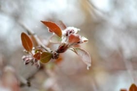 don-kar-zirai-don-meteoroloji-aa-1544993