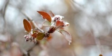 don-kar-zirai-don-meteoroloji-aa-1544993