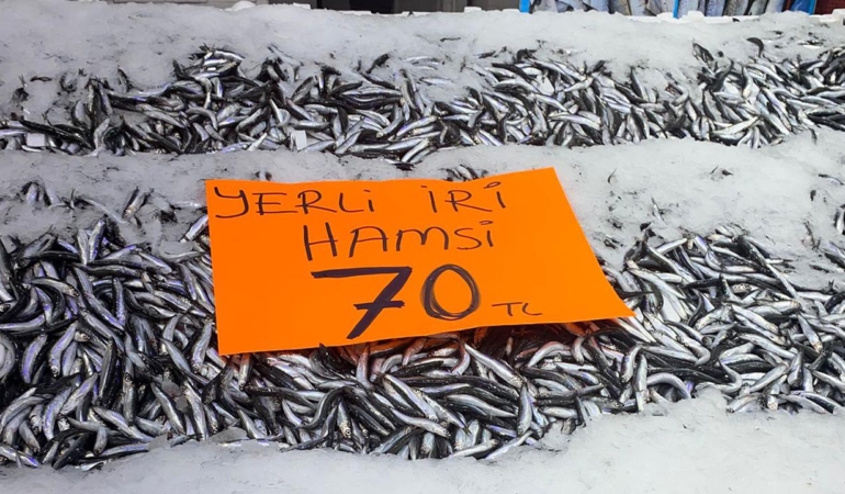 Karadeniz’de Hamsi Bereketi: Tezgahlarda Fiyatı 70 Liraya Kadar Düştü!