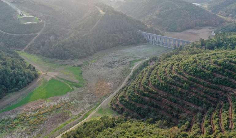 Türkiye’de Kuraklık Alarmı: Son 65 Yılın En Kurak Yazı Yaşandı, Yağışlar Yüzde 53 Azaldı