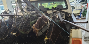 kacak-midye-aa-2407806