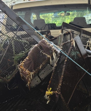 kacak-midye-aa-2407806