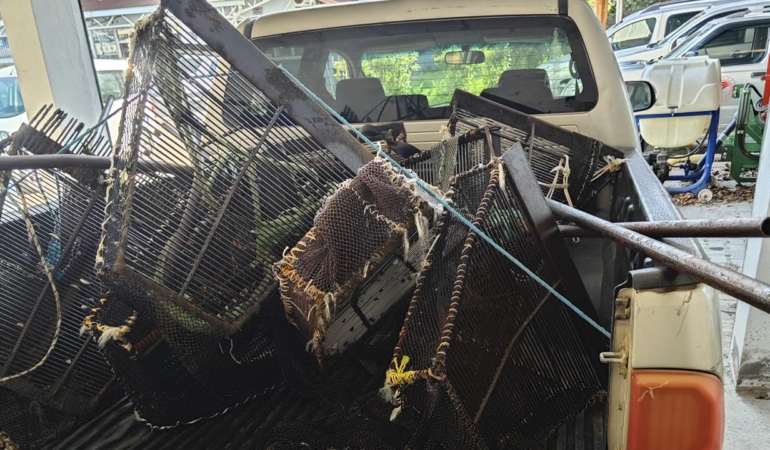 Samsun’da Kaçak Avcılara Operasyon: 1 Ton Kum Midyesi Kurtarıldı