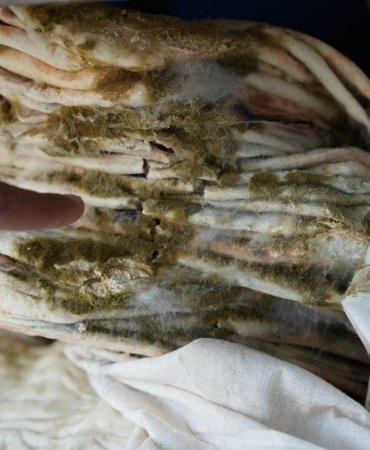 kuflu-ekmek-dha-2409600