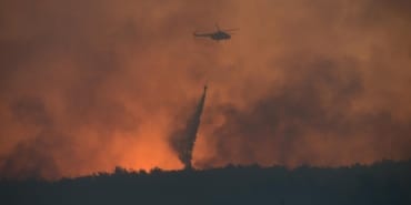 orman-yangini-2391000