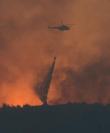 orman-yangini-2391000