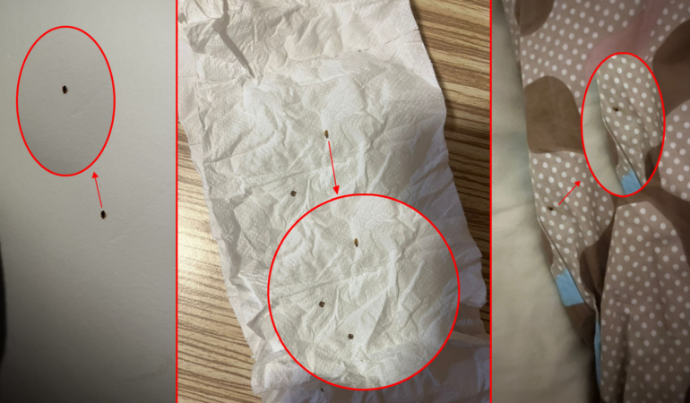 KYK yurdunu tahta kuruları istila etti: Yurt yönetimi öğrencileri suçladı