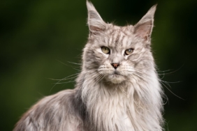 6619f5d0-2889-4e32-9856-d2fbe1c81e15