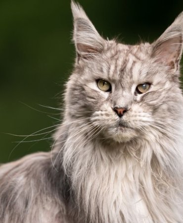 6619f5d0-2889-4e32-9856-d2fbe1c81e15