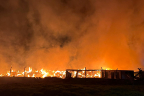 IZMIR’DE-BELEDIYEYE-AIT-COP-DEPOLAMA-ALA_305524_media1