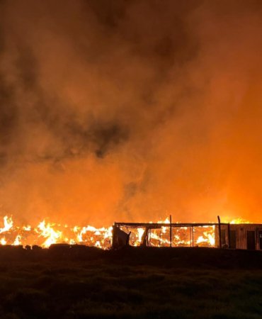 IZMIR’DE-BELEDIYEYE-AIT-COP-DEPOLAMA-ALA_305524_media1