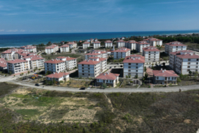 aa_picture_20251110_39672971