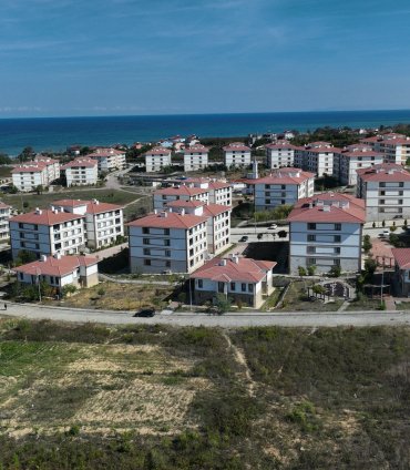 aa_picture_20251110_39672971