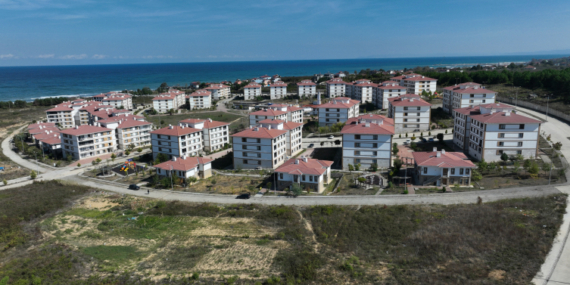 aa_picture_20251110_39672971