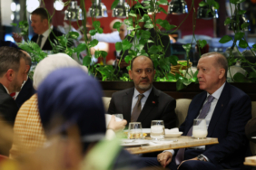 aa_picture_20251110_39673169 (1)