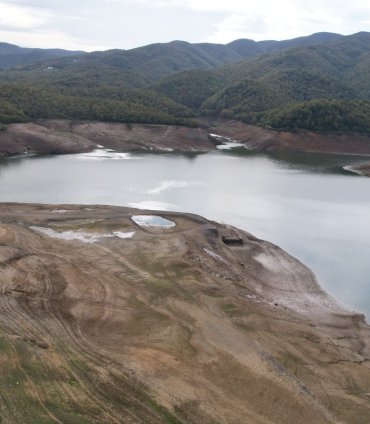 aa_picture_20251118_39738732