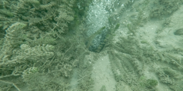 aa_picture_20251120_39757415