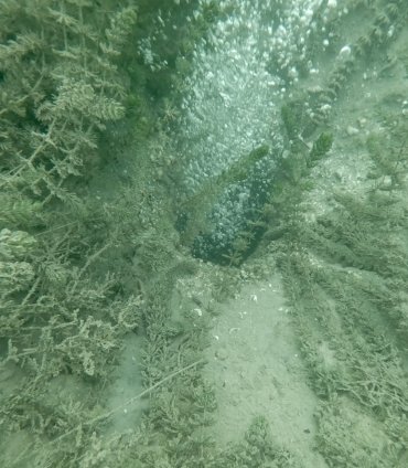 aa_picture_20251120_39757415