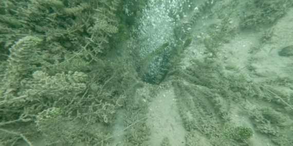 aa_picture_20251120_39757415