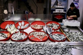 balik-tezgahi-aa-2413613