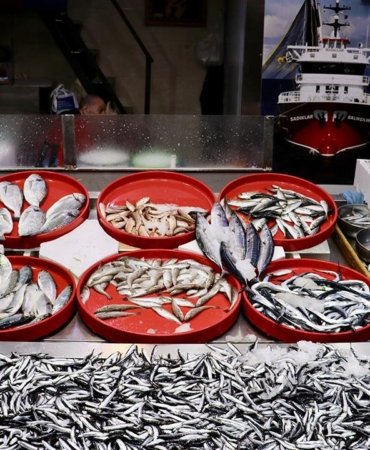 balik-tezgahi-aa-2413613