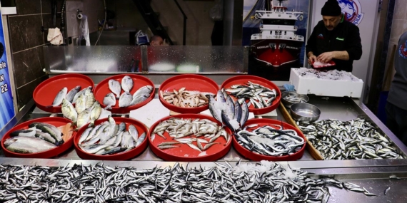 balik-tezgahi-aa-2413613