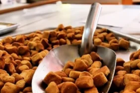 karaman-haci-lokuru-tescillendi_691c0de249ea6