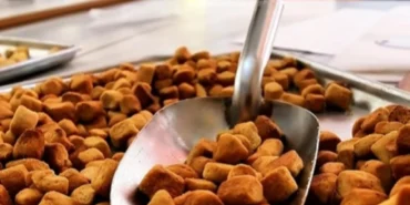 karaman-haci-lokuru-tescillendi_691c0de249ea6