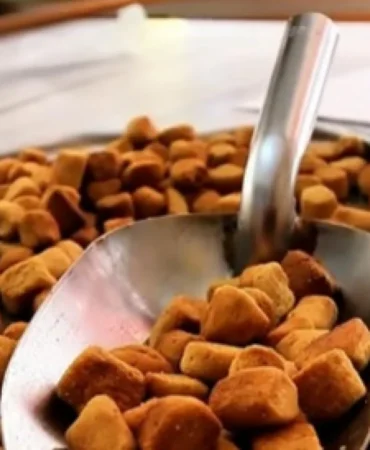 karaman-haci-lokuru-tescillendi_691c0de249ea6