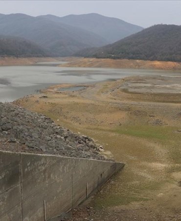 thumbs_b_c_88702b4d4b84b6e5ec5cc5b45411b656