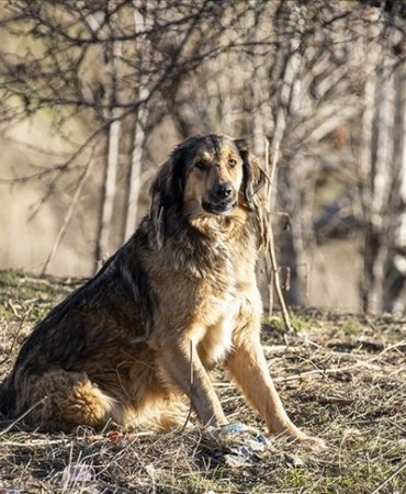 thumbs_b_c_dfeff5b20a8580b0e24fdbb43647f38b