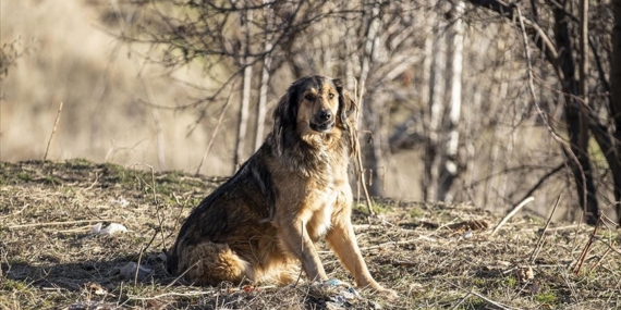 thumbs_b_c_dfeff5b20a8580b0e24fdbb43647f38b