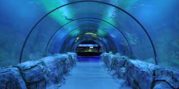 11d212bc-a3f8-411d-b8fd-5d5cac9243e7