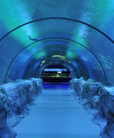 11d212bc-a3f8-411d-b8fd-5d5cac9243e7