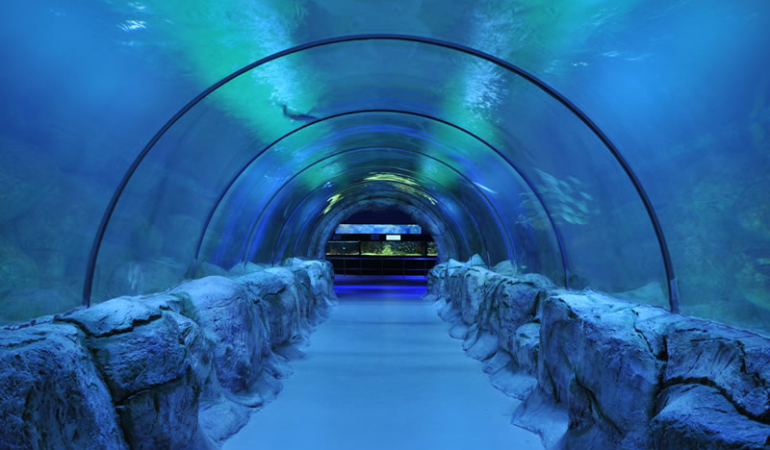 CHP’li Keçiören Belediyesi’nden Bir Skandal Daha! AK Parti Döneminde Yapılan Deniz Dünyası Akvaryumu Kaderine Terk Edildi!