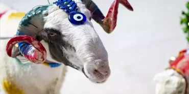 2026-kurban-bayramı-ne-zaman-tatil-kac-gun