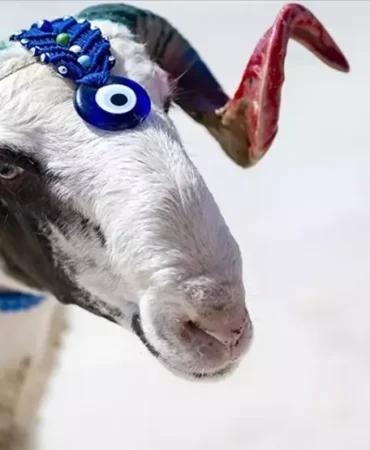 2026-kurban-bayramı-ne-zaman-tatil-kac-gun