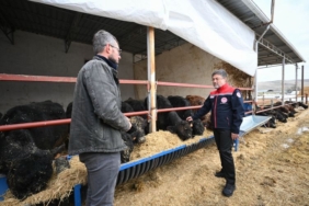 30ed2c4a-924a-4948-a250-f29622b37e8d