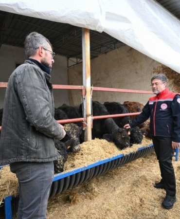 30ed2c4a-924a-4948-a250-f29622b37e8d