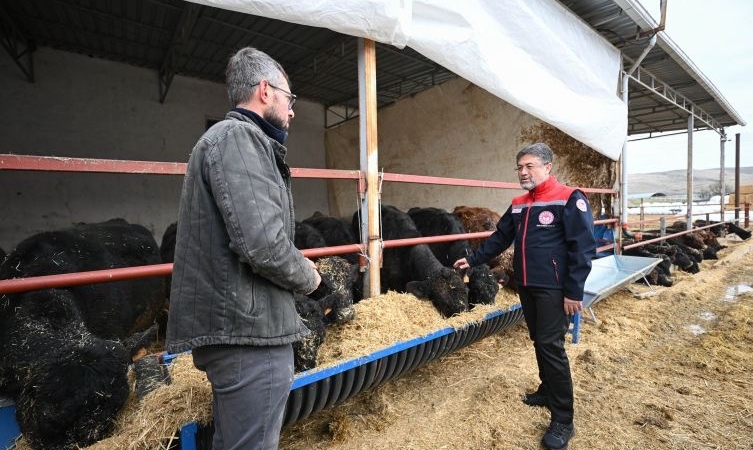 Kırmızı Et Üretiminde Yeni Dönem: “Kırsalda Bereket” Projesi Meyvelerini Vermeye Başladı